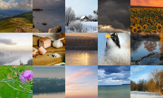 Картина дня