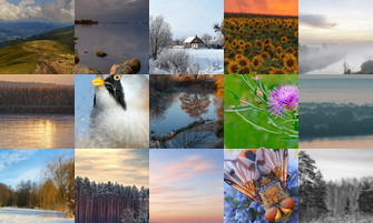 Картина дня