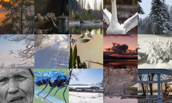 Картина дня