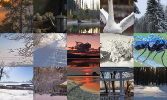 Картина дня