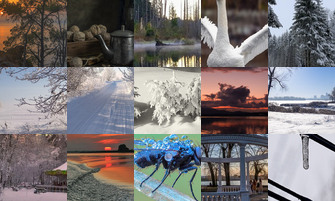 Картина дня