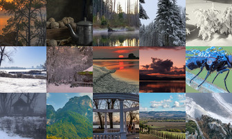 Картина дня