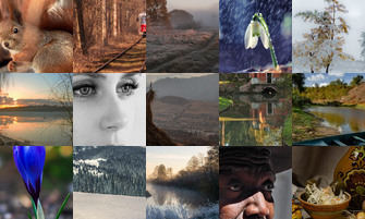 Картина дня