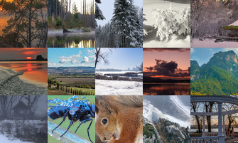 Картина дня