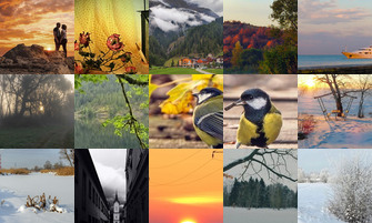 Картина дня