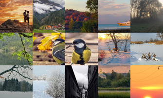 Картина дня