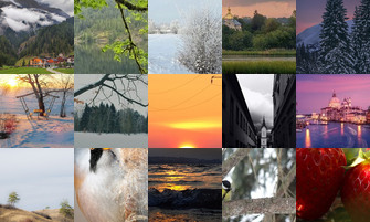 Картина дня