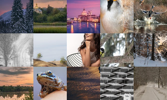 Картина дня