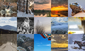 Картина дня