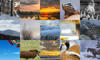 Картина дня