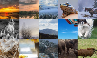 Картина дня