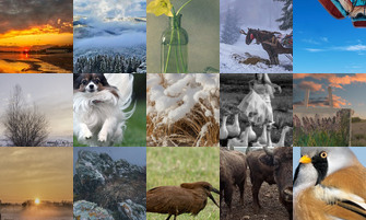 Картина дня