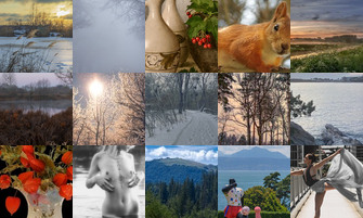 Картина дня