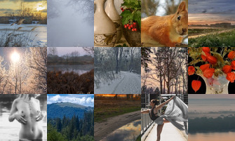 Картина дня