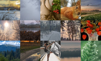 Картина дня