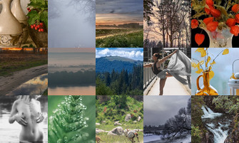 Картина дня