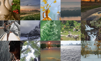 Картина дня