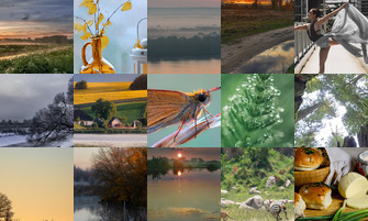 Картина дня