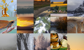 Картина дня