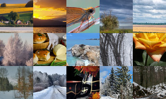 Картина дня