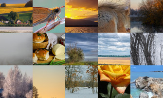 Картина дня