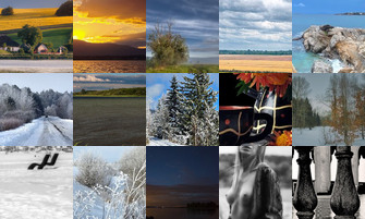 Картина дня