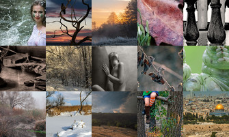 Картина дня