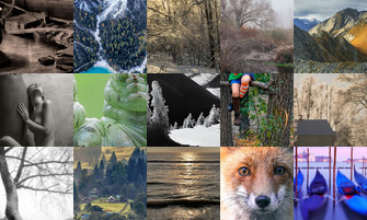 Картина дня