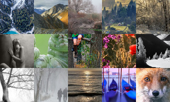 Картина дня