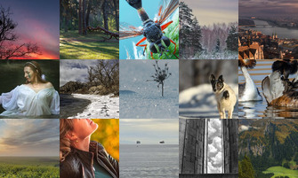 Картина дня