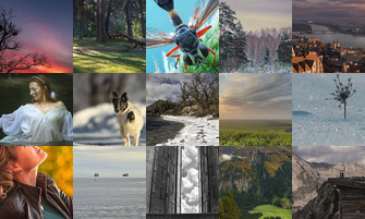 Картина дня