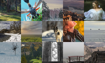 Картина дня