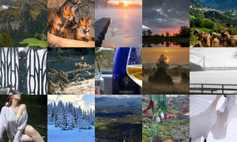 Картина дня