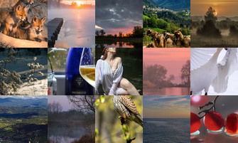 Картина дня