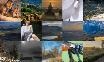 Картина дня