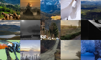 Картина дня