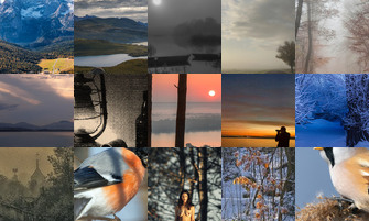 Картина дня