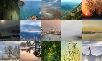 Картина дня