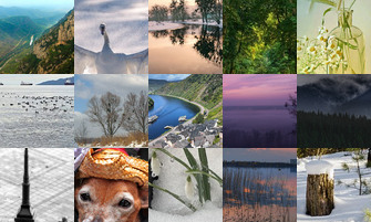 Картина дня