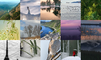 Картина дня