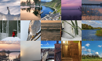 Картина дня