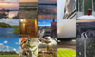 Картина дня