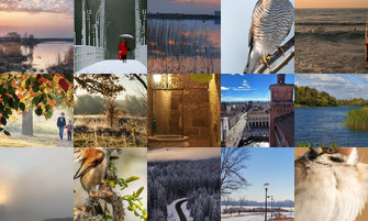 Картина дня