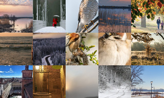 Картина дня