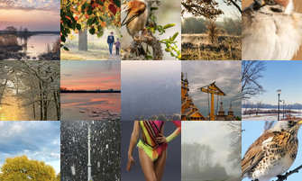 Картина дня