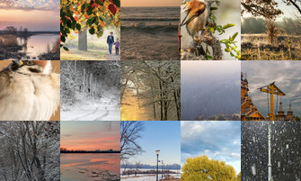 Картина дня