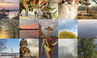 Картина дня