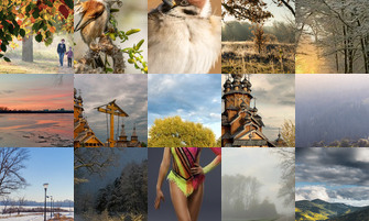 Картина дня