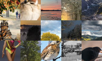 Картина дня