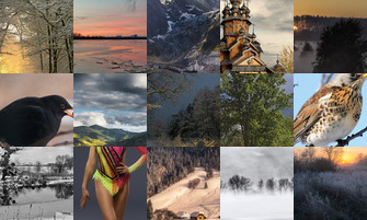 Картина дня